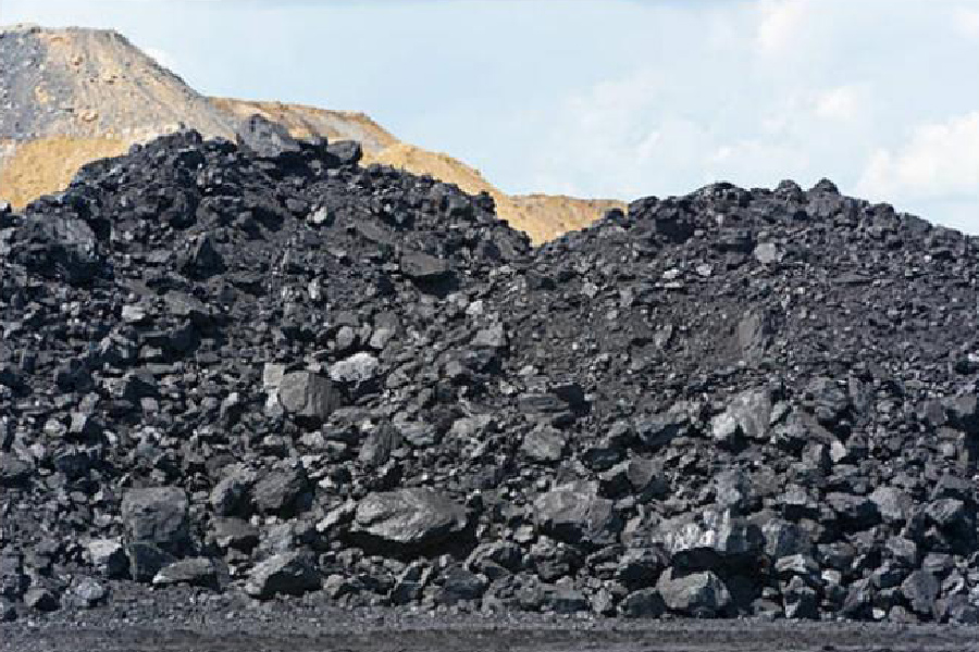Coal
