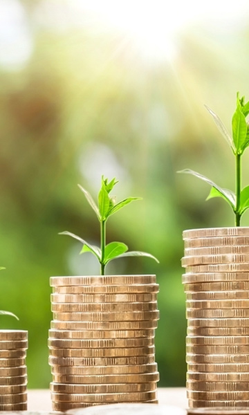International Investment